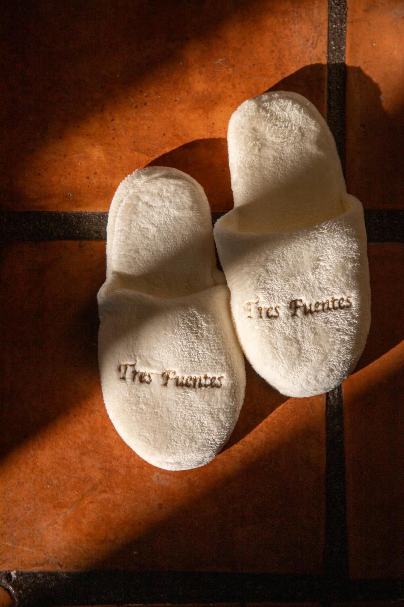 Tres Fuentes Dickinson Hotel Boutique 산미겔데아옌데 외부 사진